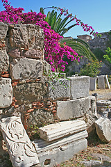 Image showing Greece. Kos island. The ruins of castle of the Knights