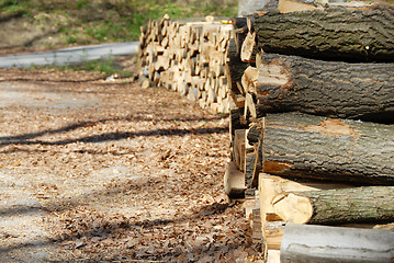 Image showing Firewood