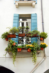 Image showing Terrace and window with flowerpots