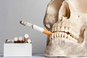 Image showing human skull with cigarettes against isolated white background