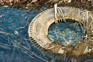 Image showing Large truck tire dumped in the water
