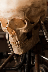 Image showing close up of a robot with human skull