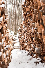 Image showing Wooden loges piled up covered by snow