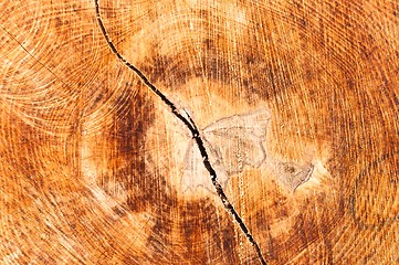 Image showing Wood texture with crack in it