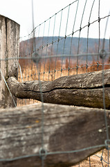 Image showing barbed wire on wooden fence