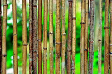 Image showing Bamboo background on green blurry background with copyspace