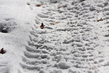 Image showing Tire track in the snow