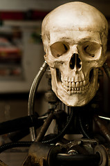 Image showing Human skull on robot body close up