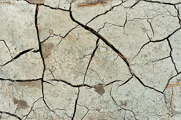 Image showing Dry cracked soil texture