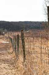 Image showing  fence with forest in background