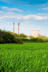 Image showing Fresh green grass with nuclear power plant and blue sky