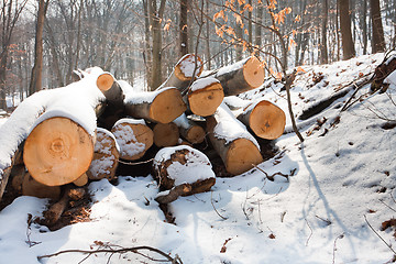 Image showing Wooden loges piled up covered by snow and sun shining on them