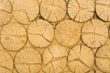 Image showing Wooden logs texture