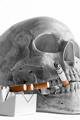 Image showing Skull with burning cigarette in mouth