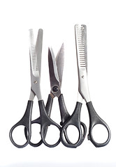 Image showing Scissors of a barber over white