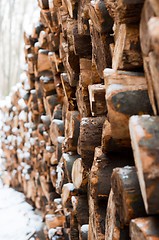 Image showing Logs of wood piled up with snow on them