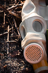 Image showing A gasmask on burnt ground