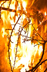 Image showing Wildfire burning with large flames