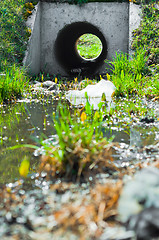 Image showing Sewage drainage system with water and grass