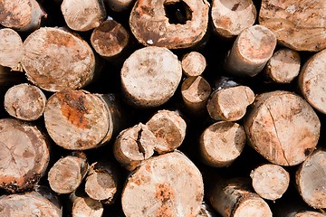 Image showing Logs of wood piled up 