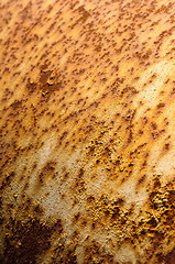 Image showing Rust on metal surface