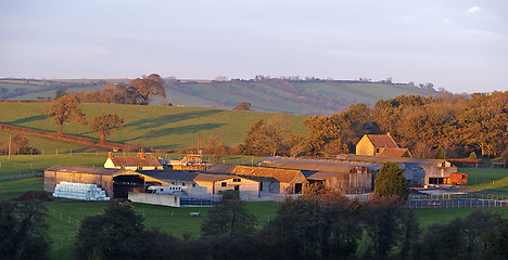 Image showing English Farm