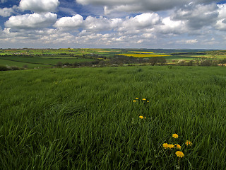 Image showing Spring Fields