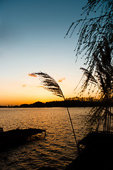 Image showing Silhouettes of a pier and a plant on a shore