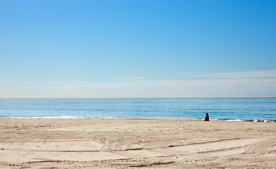 Image showing alone on the beach