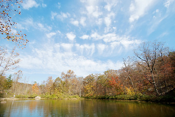 Image showing autumn leaves and trees on river