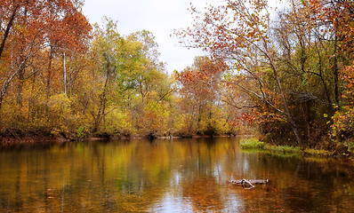 Image showing autumn leaves and trees on river