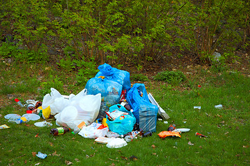 Image showing Pile of litter in park