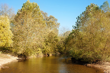 Image showing autumn leaves and trees on river