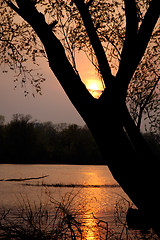 Image showing Sunset over river