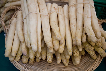 Image showing Fresh white asparagus