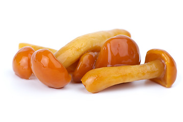 Image showing Close-up shot of some marinated honey agarics