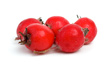 Image showing Few haw berries