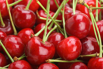 Image showing Red cherries