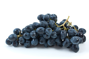 Image showing Bunch of blue grapes