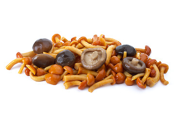 Image showing Some marinated honey agarics and black milk mushrooms