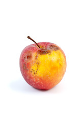 Image showing Slightly rotten apple