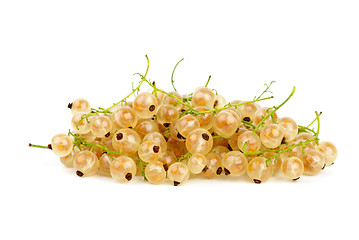 Image showing Pile of golden currants