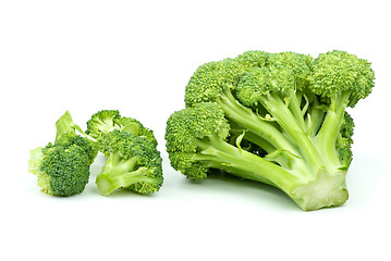 Image showing One big and few small broccoli pieces