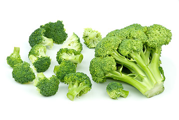 Image showing One big and few small broccoli pieces