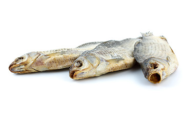 Image showing Three sea roach fishes