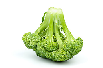 Image showing Broccoli 