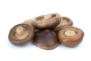 Image showing Close-up shot of some marinated black milk mushrooms