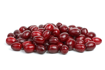 Image showing Small pile of cornel berries