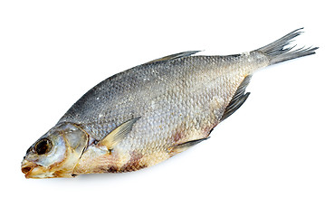 Image showing Dried bream fish