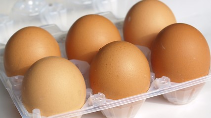 Image showing Eggs